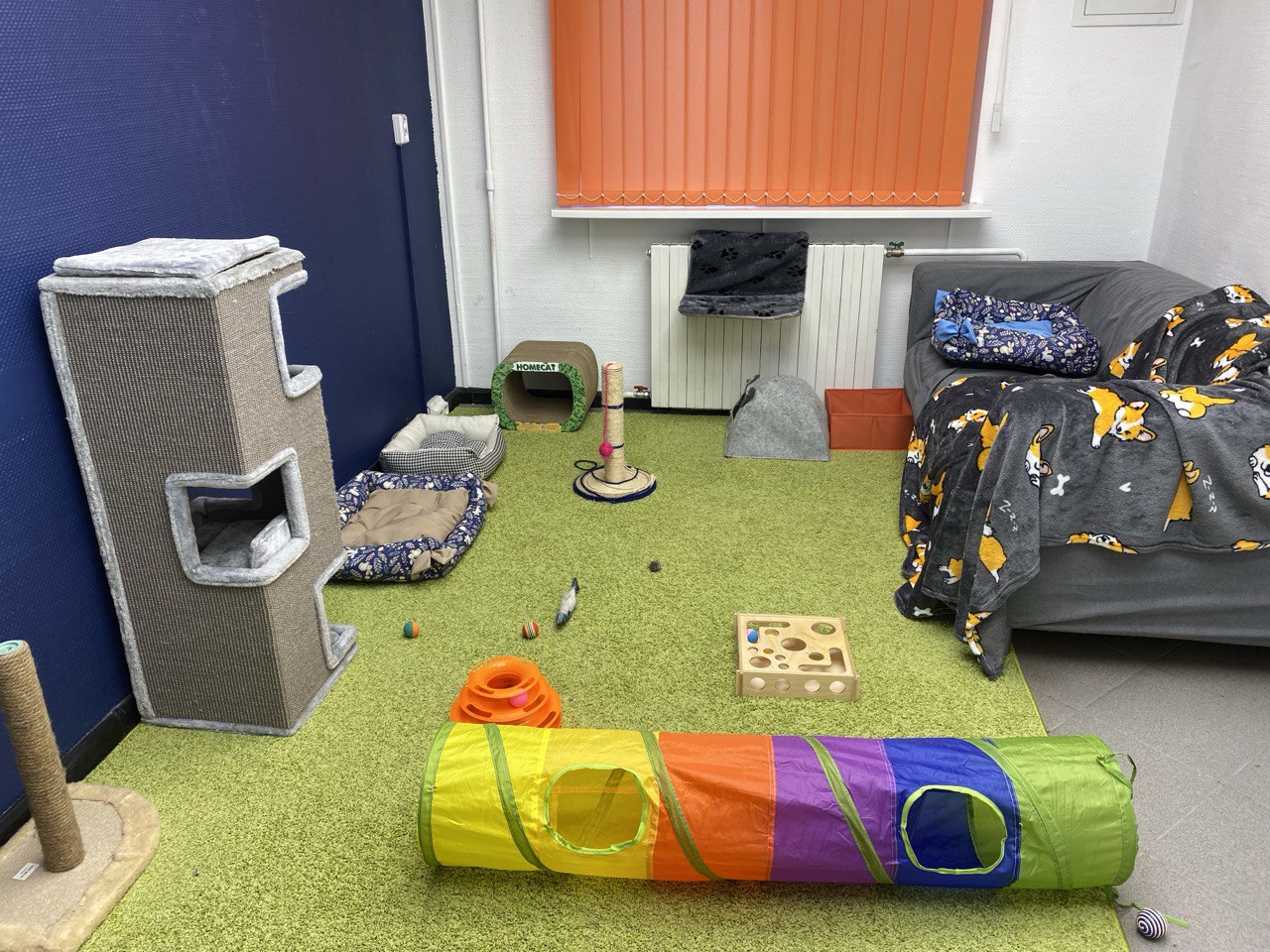 Интерьер приюта